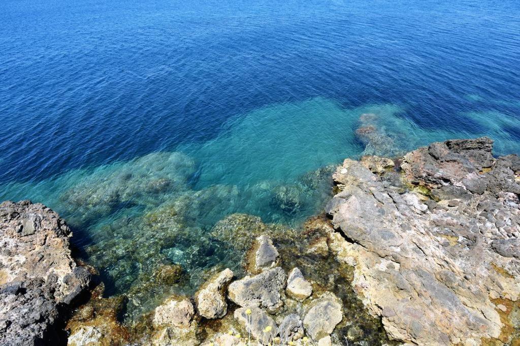 Villa Flora Argentario Porto Santo Stefano  Esterno foto