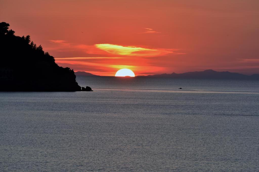 Villa Flora Argentario Porto Santo Stefano  Esterno foto