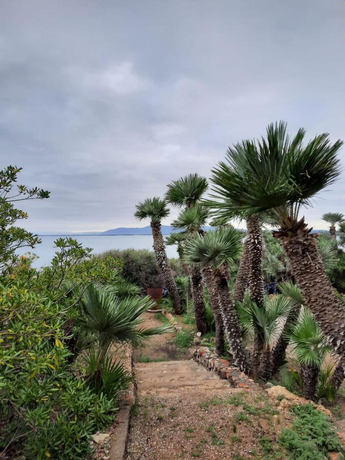 Villa Flora Argentario Porto Santo Stefano  Esterno foto