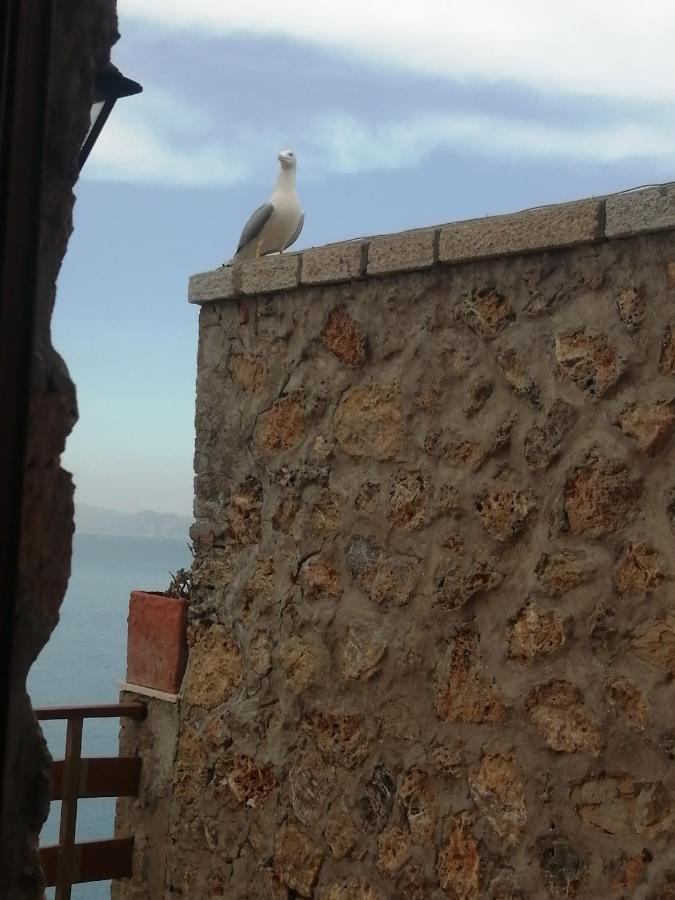 Villa Flora Argentario Porto Santo Stefano  Esterno foto